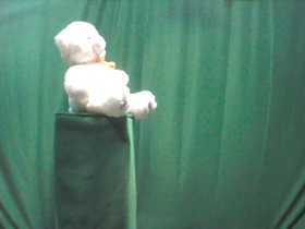 90 Degrees _ Picture 9 _ White Teddy Bear Wearing Gold Ribbon.png